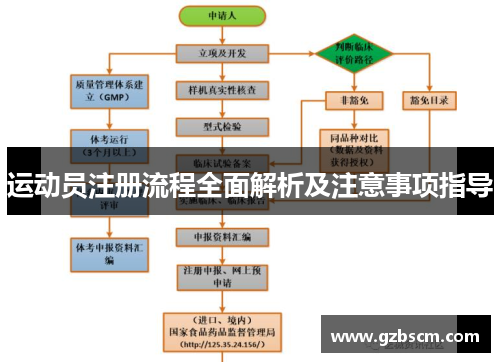 运动员注册流程全面解析及注意事项指导