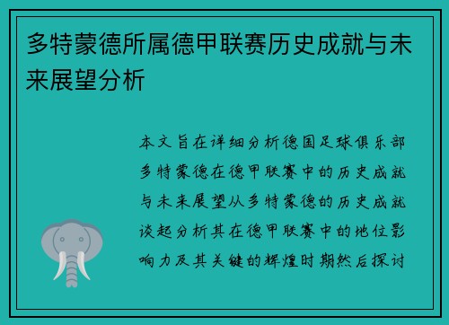 多特蒙德所属德甲联赛历史成就与未来展望分析