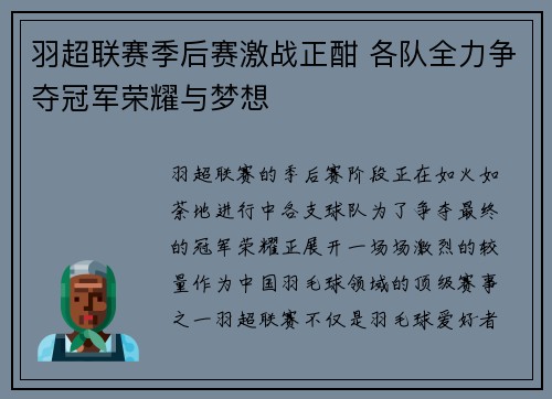 羽超联赛季后赛激战正酣 各队全力争夺冠军荣耀与梦想