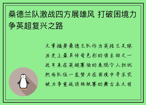桑德兰队激战四方展雄风 打破困境力争英超复兴之路
